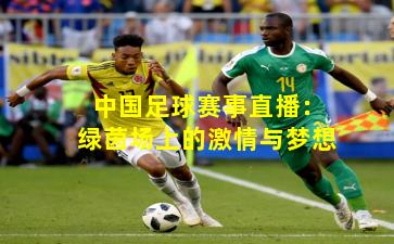 中国足球赛事直播：绿茵场上的激情与梦想