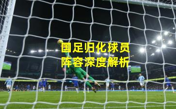 国足归化球员阵容深度解析